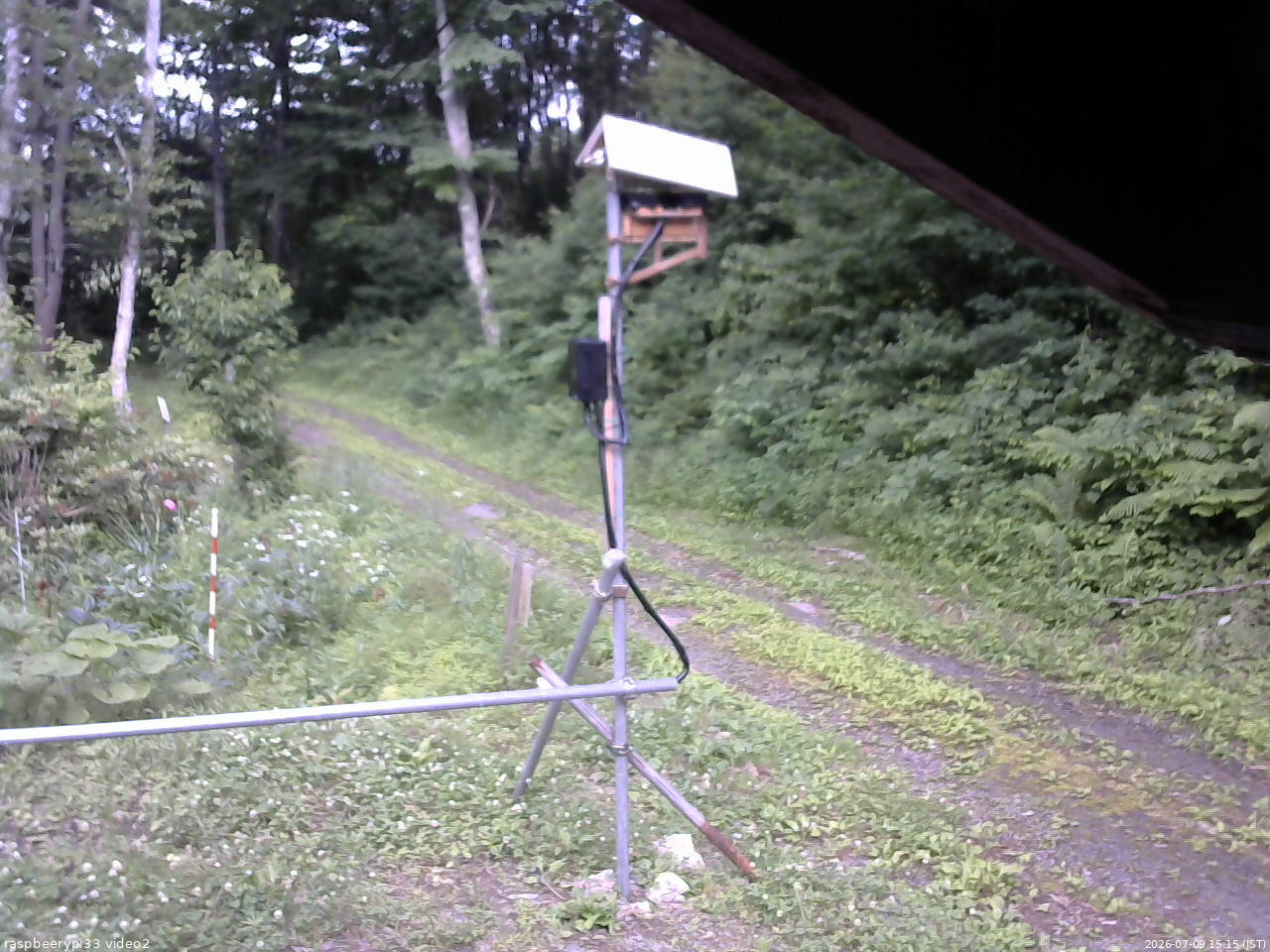 長野県菅平高原 ゆたか山荘 南側 2026/07/09 15:15