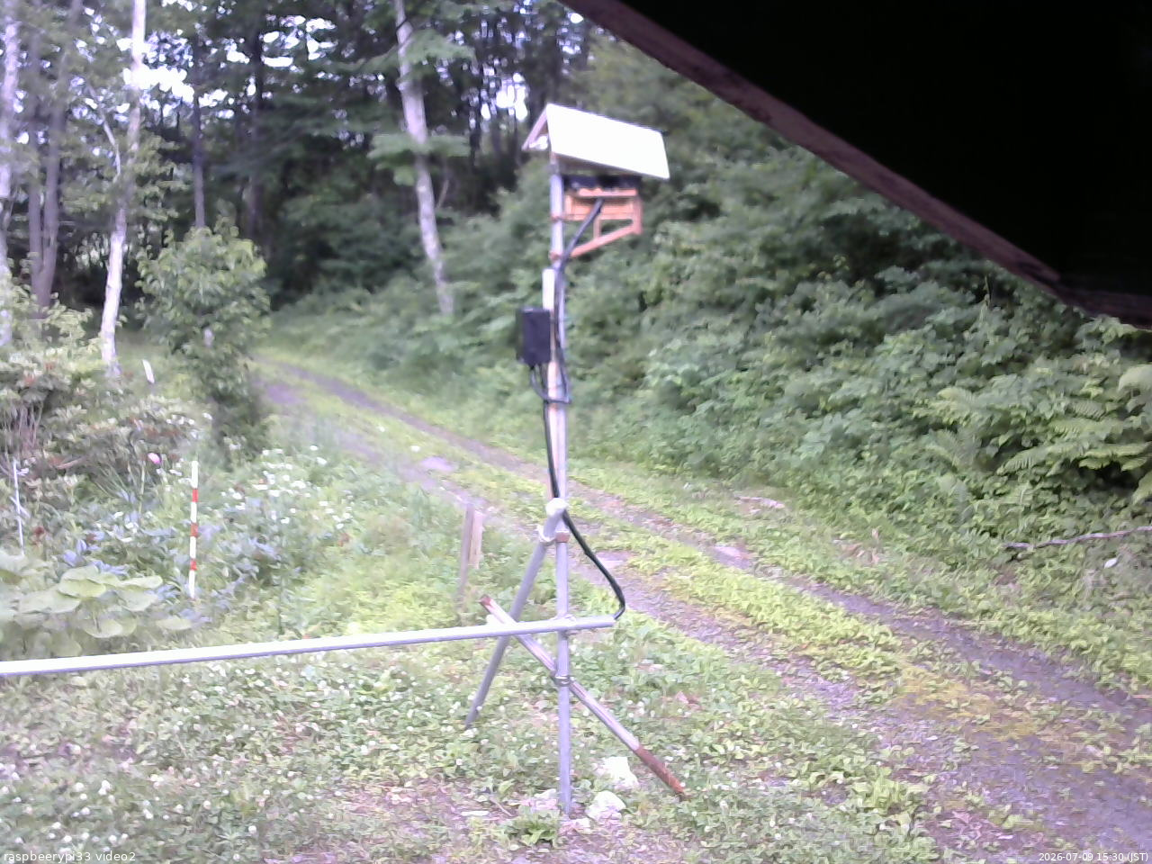 長野県菅平高原 ゆたか山荘 南側 2026/07/09 15:30