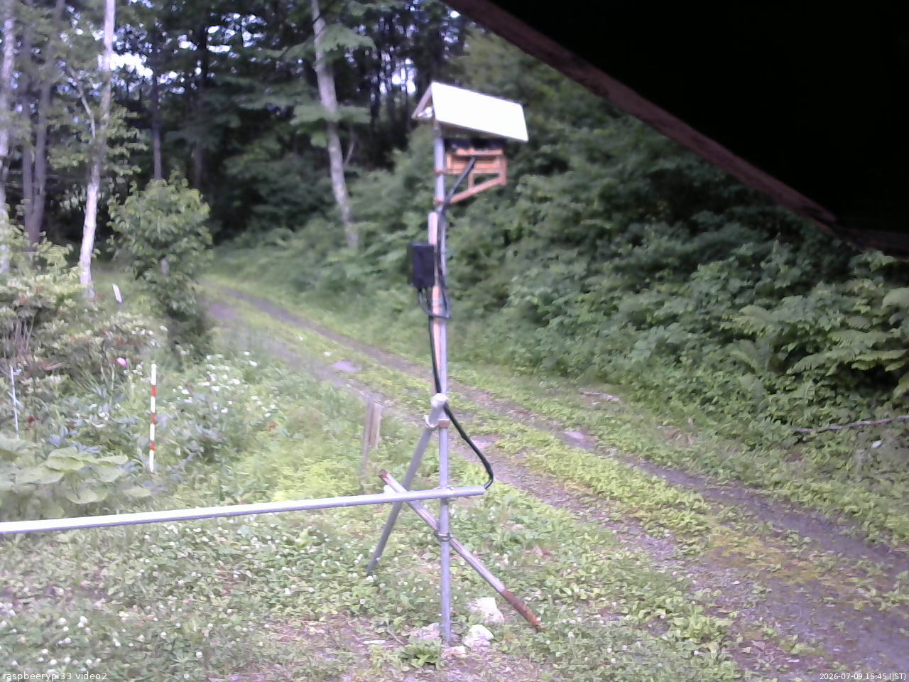 長野県菅平高原 ゆたか山荘 南側 2026/07/09 15:45