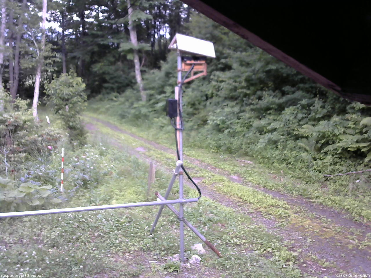 長野県菅平高原 ゆたか山荘 南側 2026/07/09 16:45