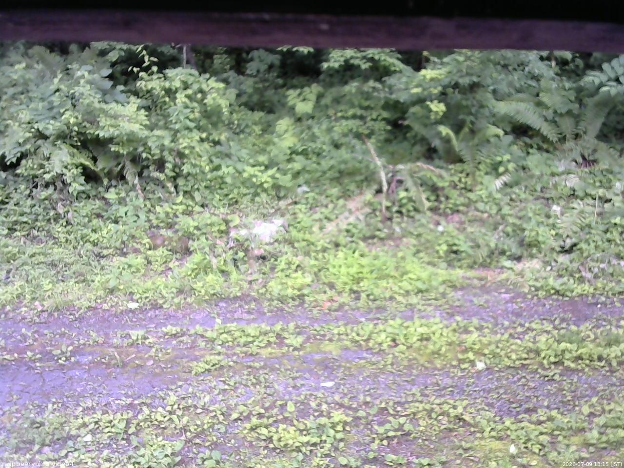 長野県菅平高原 ゆたか山荘 東側(坂下) 2026/07/09 13:15