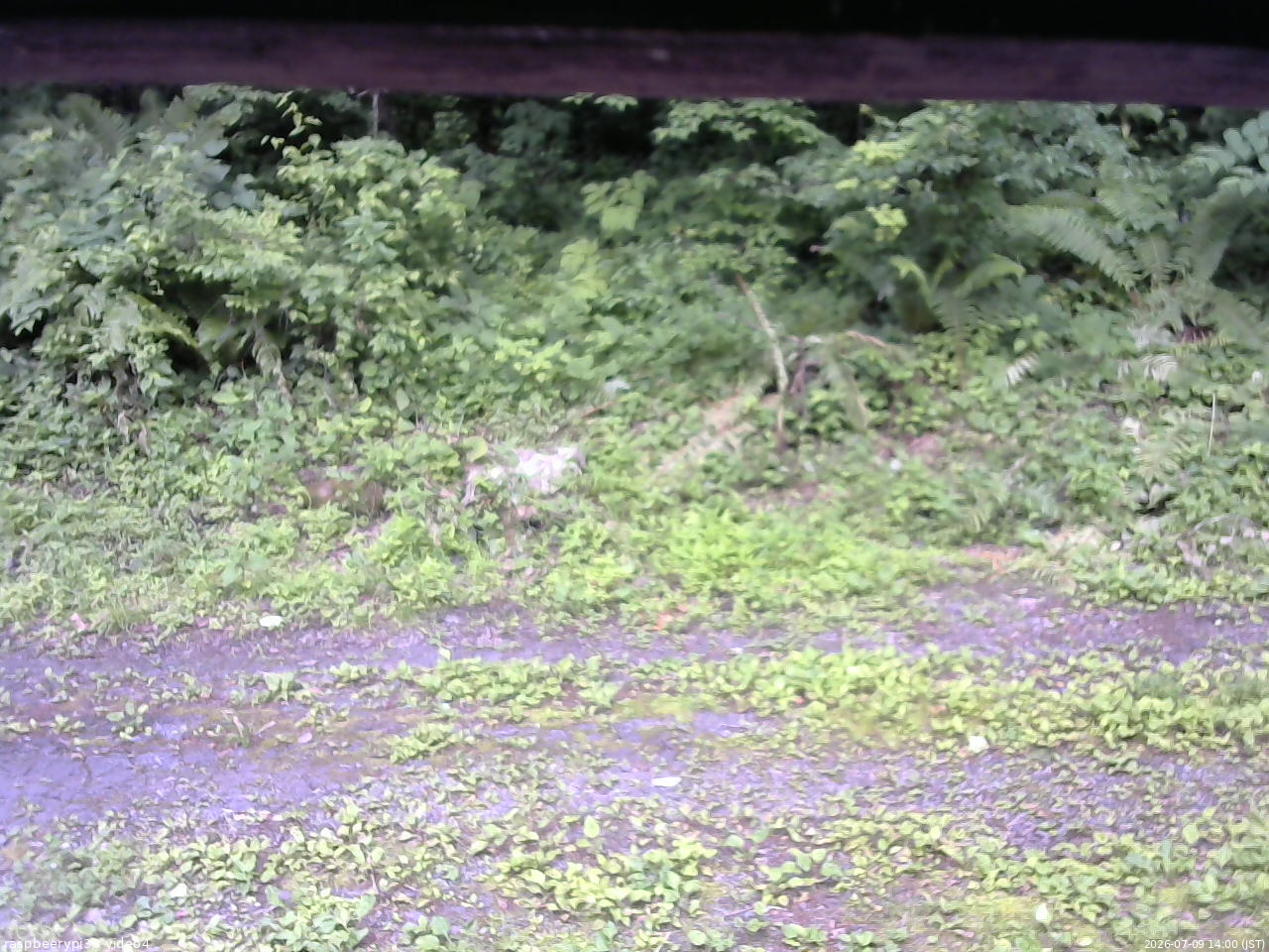 長野県菅平高原 ゆたか山荘 東側(坂下) 2026/07/09 14:00