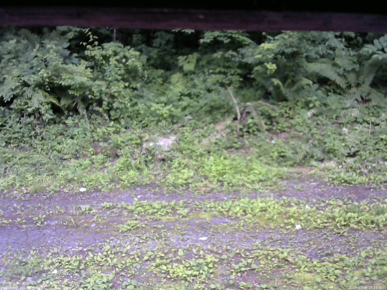 長野県菅平高原 ゆたか山荘 東側(坂下) 2026/07/09 17:15