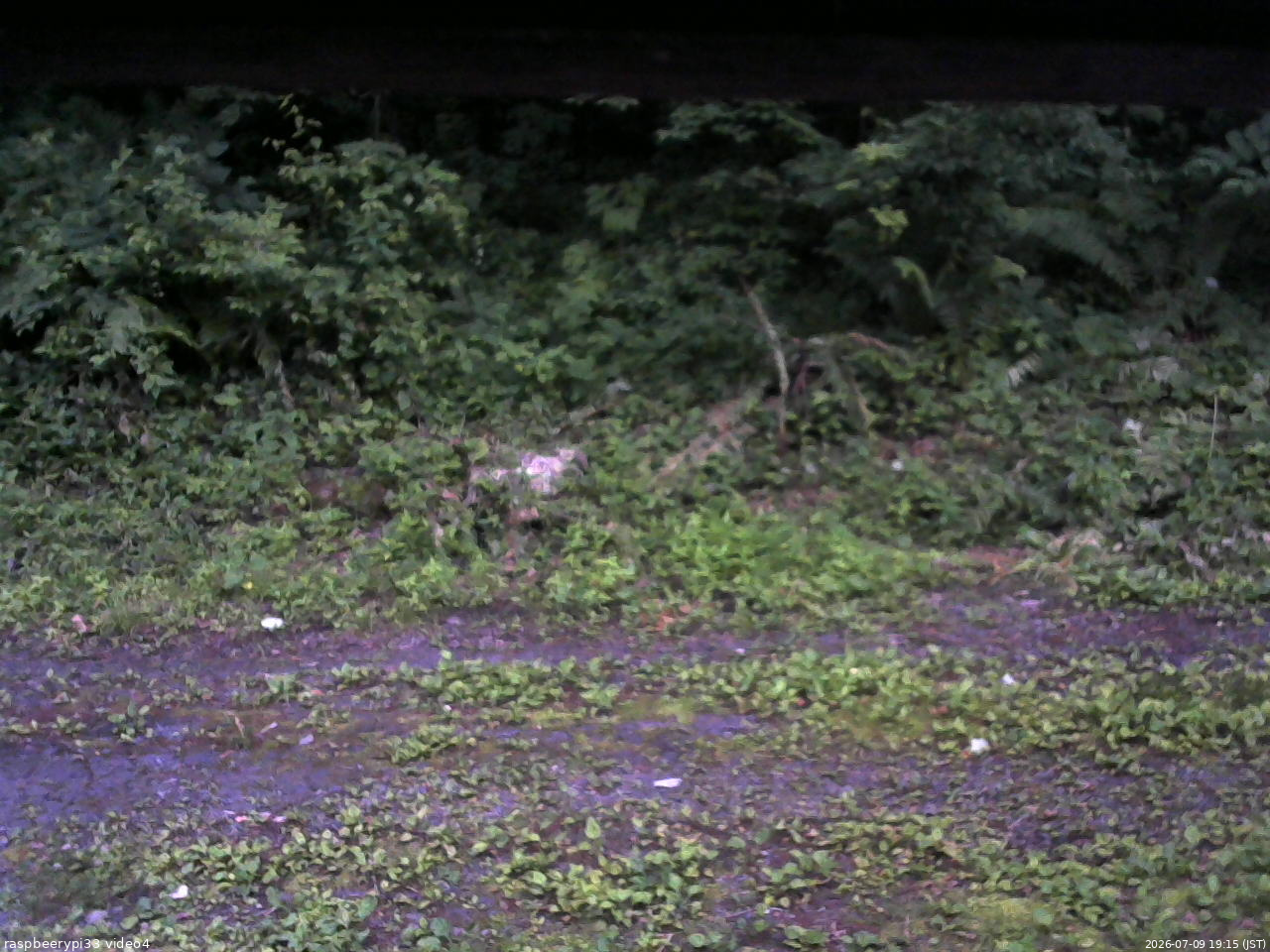 長野県菅平高原 ゆたか山荘 東側(坂下) 2026/07/09 19:15