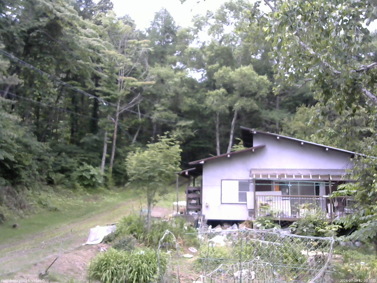 長野県菅平高原 ゆたか山荘 西側(坂上) 2026/07/09 12:00