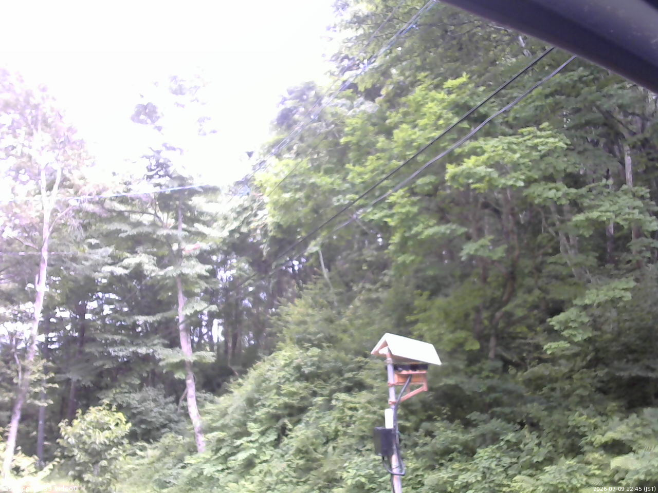 長野県菅平高原 ゆたか山荘 温度計 2026/07/09 12:45