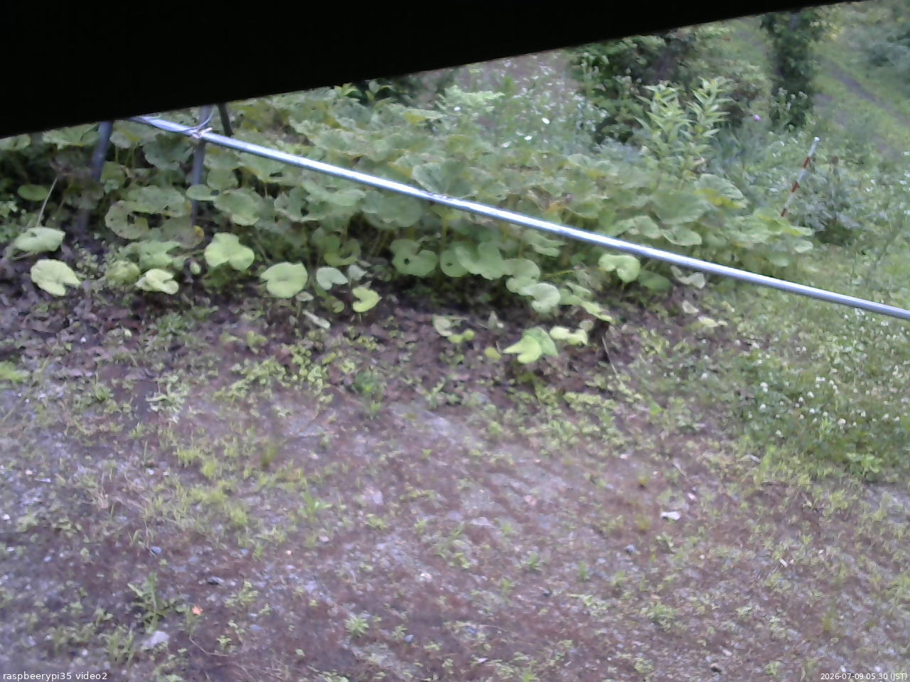 長野県菅平高原 ゆたか山荘 駐車場 2026/07/09 05:30
