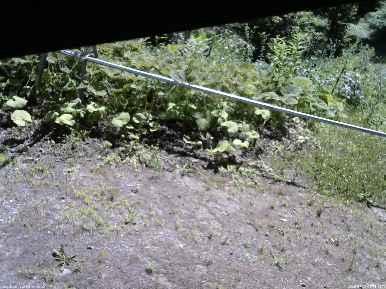 長野県菅平高原 ゆたか山荘 駐車場 2026/07/09 09:45