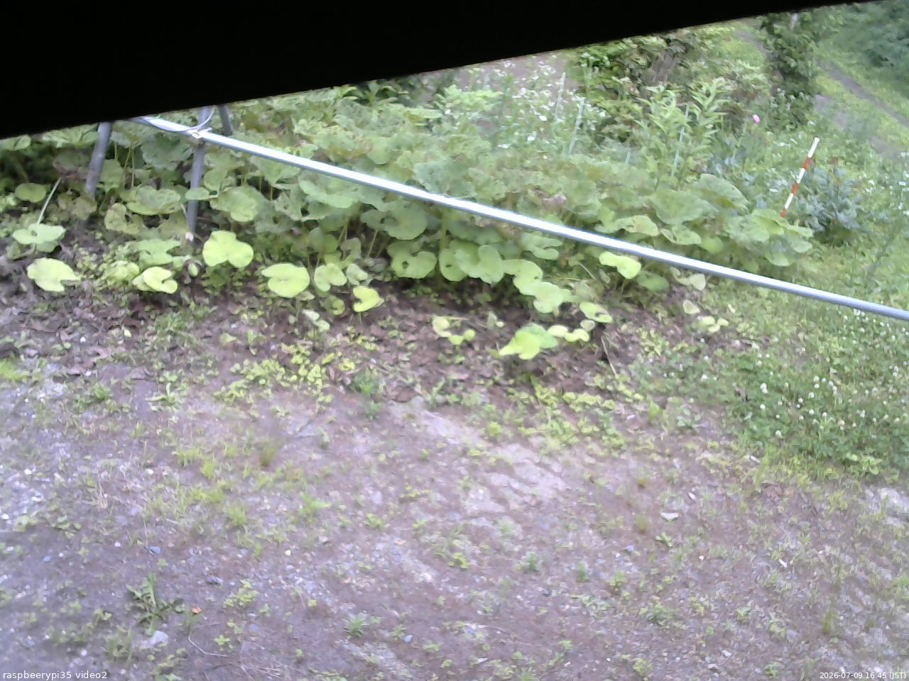 長野県菅平高原 ゆたか山荘 駐車場 2026/07/09 16:45