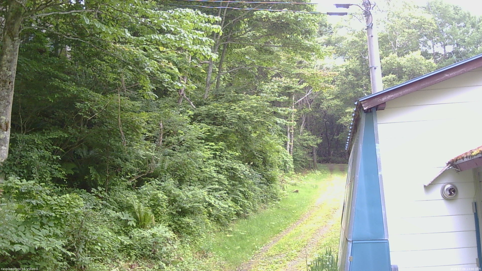 長野県菅平高原 ゆたか山荘 ゆたか山荘 2026/07/09 13:00