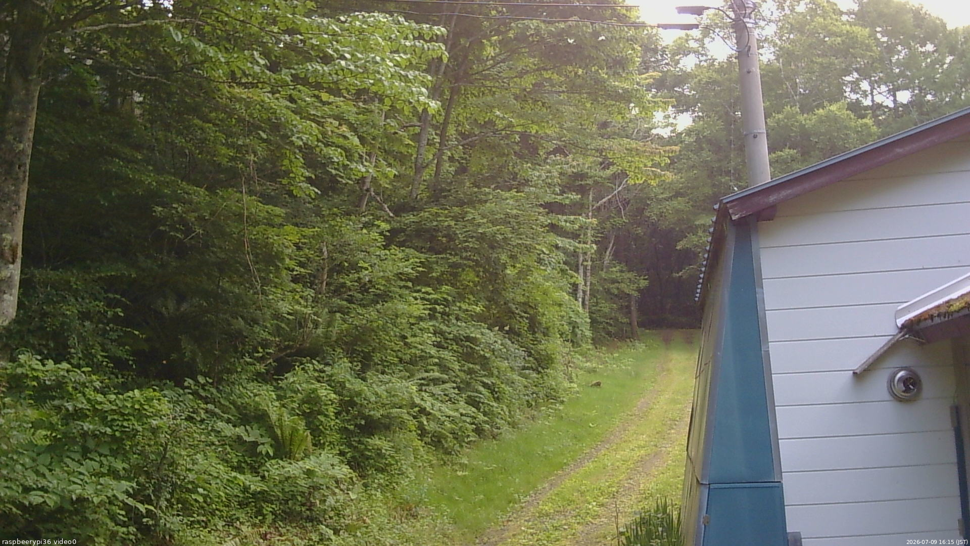 長野県菅平高原 ゆたか山荘 ゆたか山荘 2026/07/09 16:15