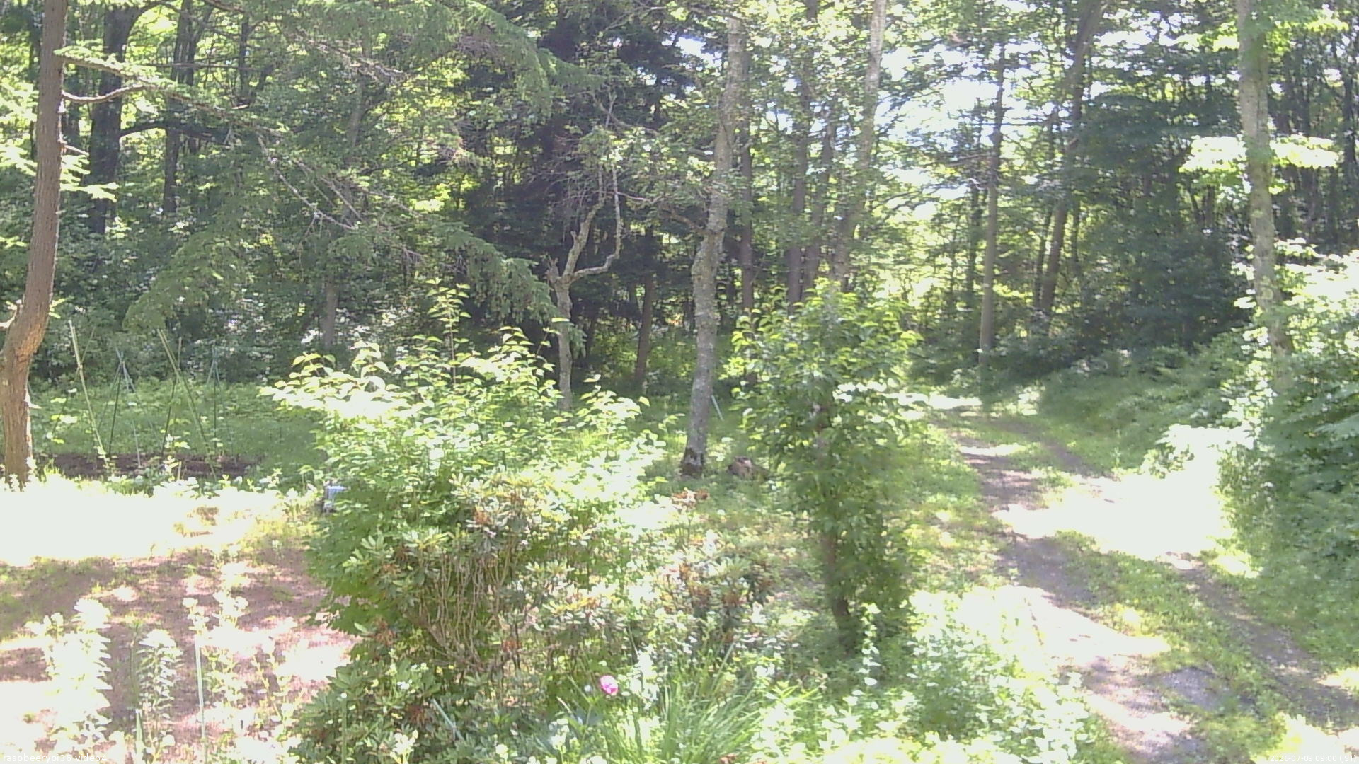 長野県菅平高原 ゆたか山荘 坂上 2026/07/09 09:00