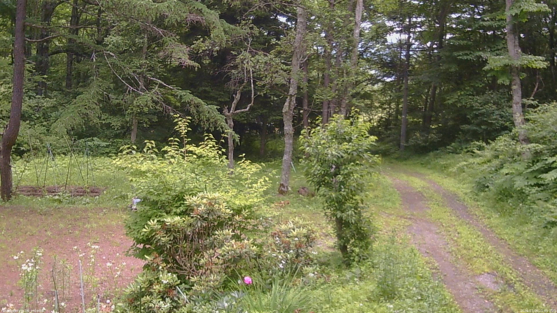 長野県菅平高原 ゆたか山荘 坂上 2026/07/09 11:45