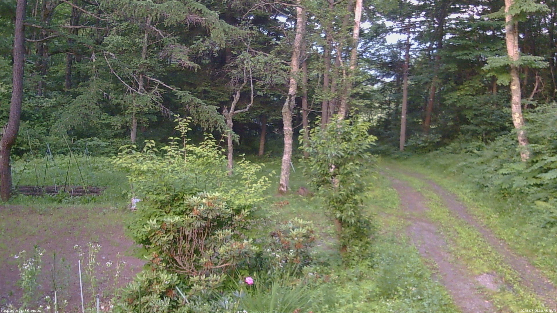 長野県菅平高原 ゆたか山荘 坂上 2026/07/09 18:45