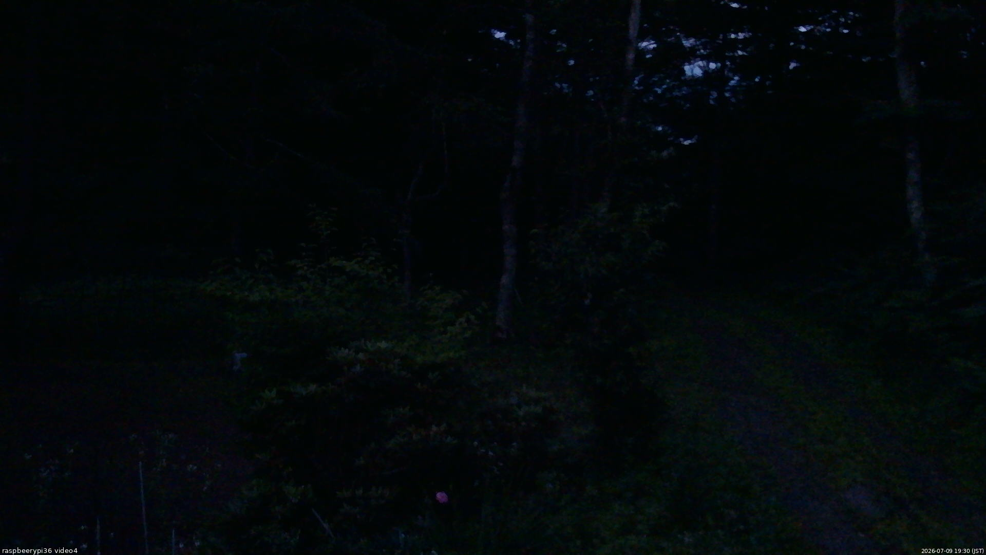 長野県菅平高原 ゆたか山荘 坂上 2026/07/09 19:30