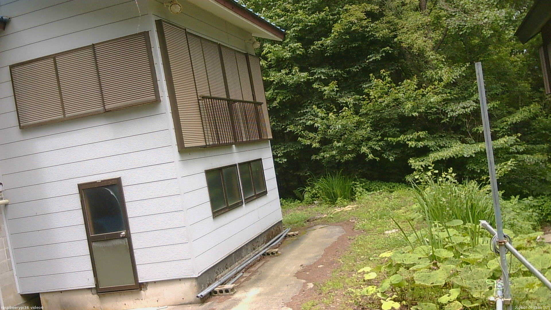長野県菅平高原 ゆたか山荘 坂下 2026/07/09 12:00