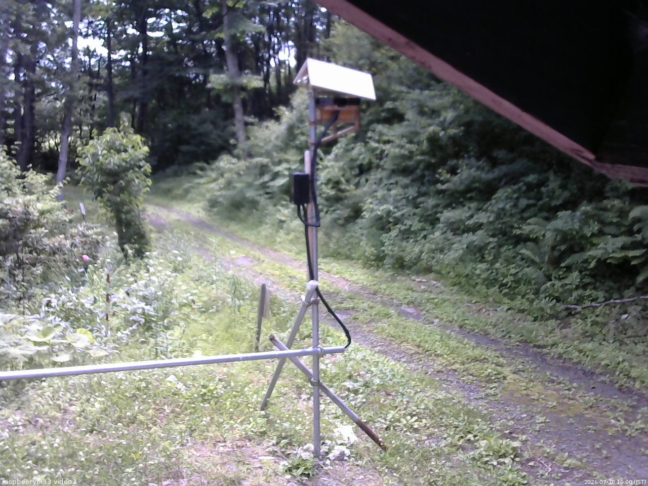 長野県菅平高原 ゆたか山荘 南側 2026/07/10 10:00