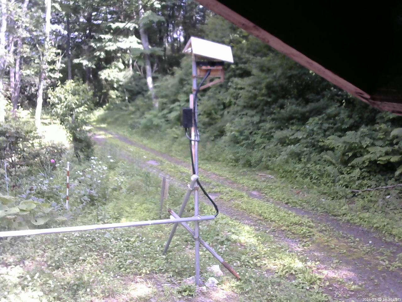 長野県菅平高原 ゆたか山荘 南側 2026/07/10 14:30