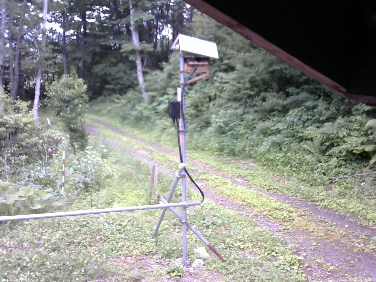 長野県菅平高原 ゆたか山荘 南側 2026/07/10 14:45