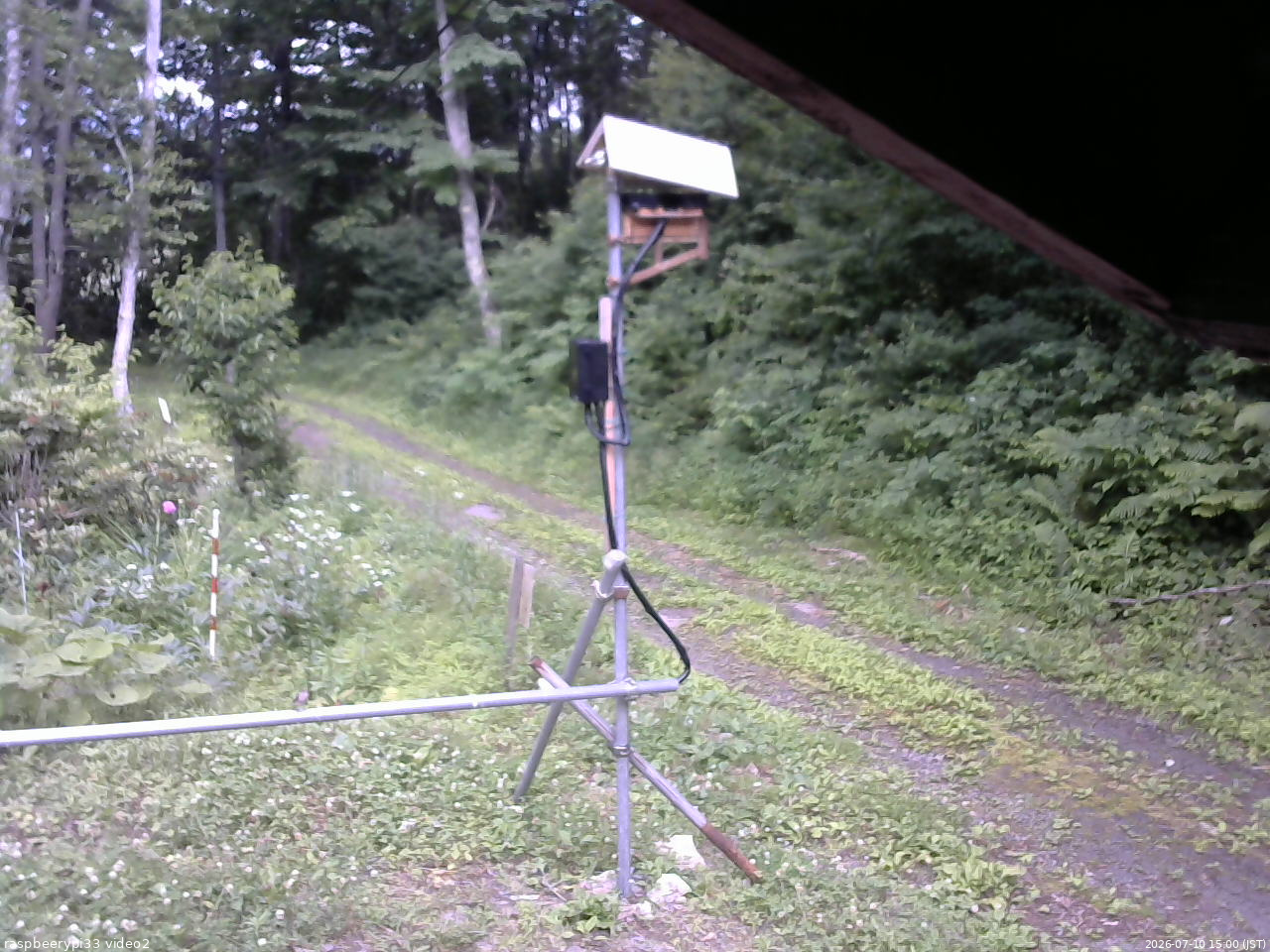 長野県菅平高原 ゆたか山荘 南側 2026/07/10 15:00