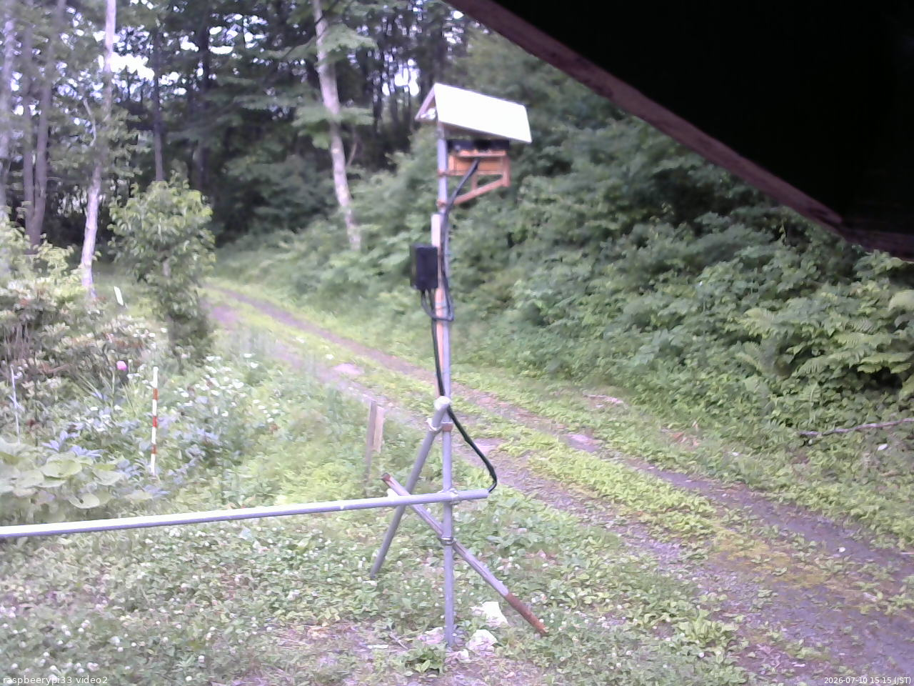 長野県菅平高原 ゆたか山荘 南側 2026/07/10 15:15