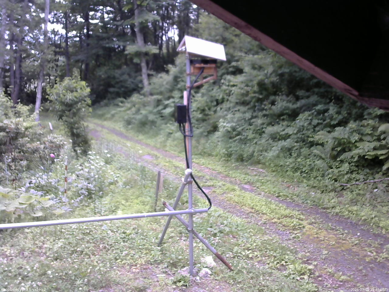 長野県菅平高原 ゆたか山荘 南側 2026/07/10 15:45
