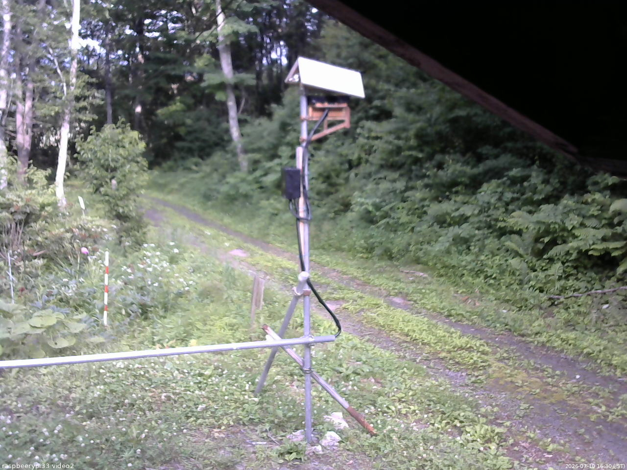 長野県菅平高原 ゆたか山荘 南側 2026/07/10 16:30