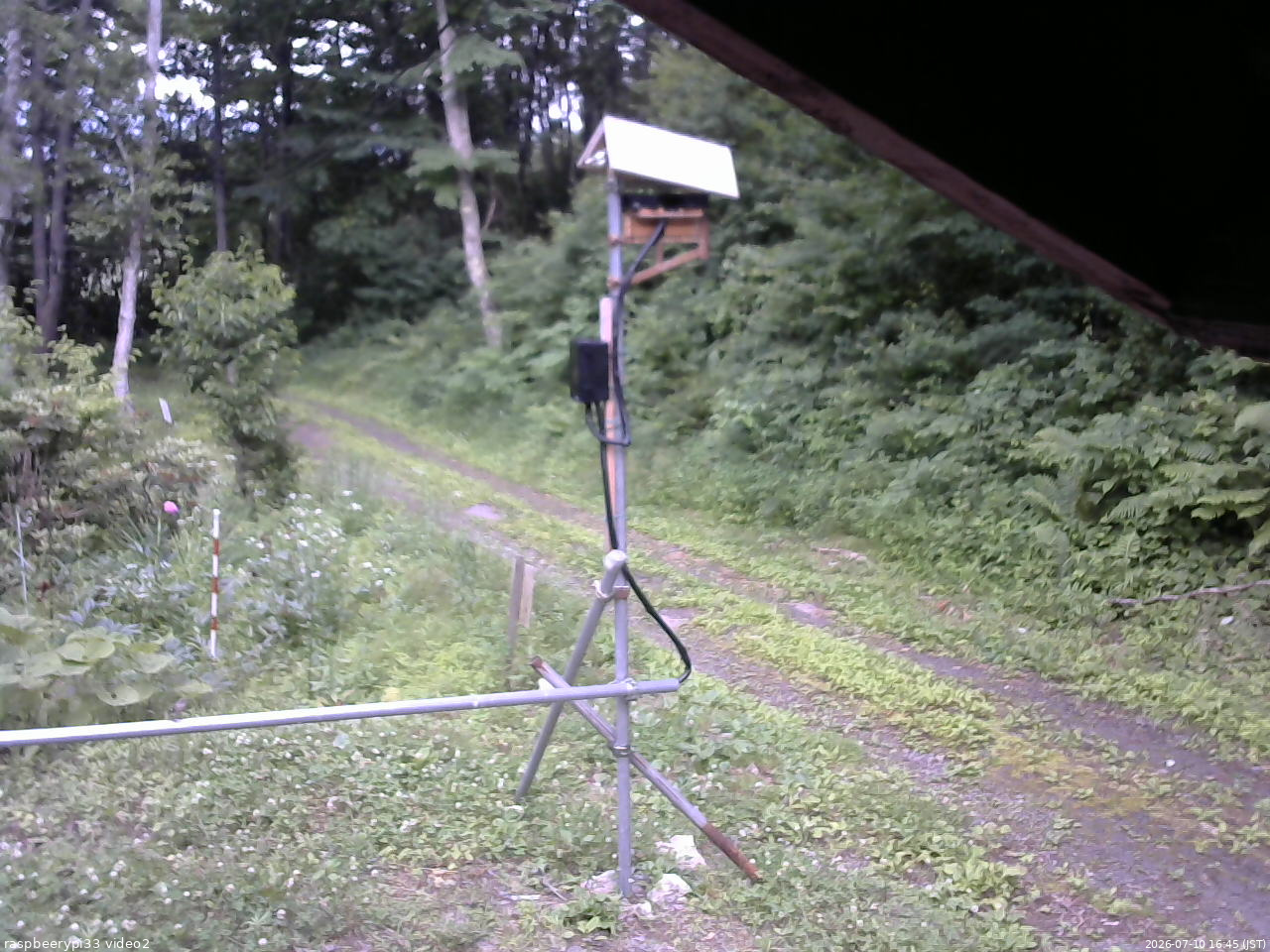長野県菅平高原 ゆたか山荘 南側 2026/07/10 16:45