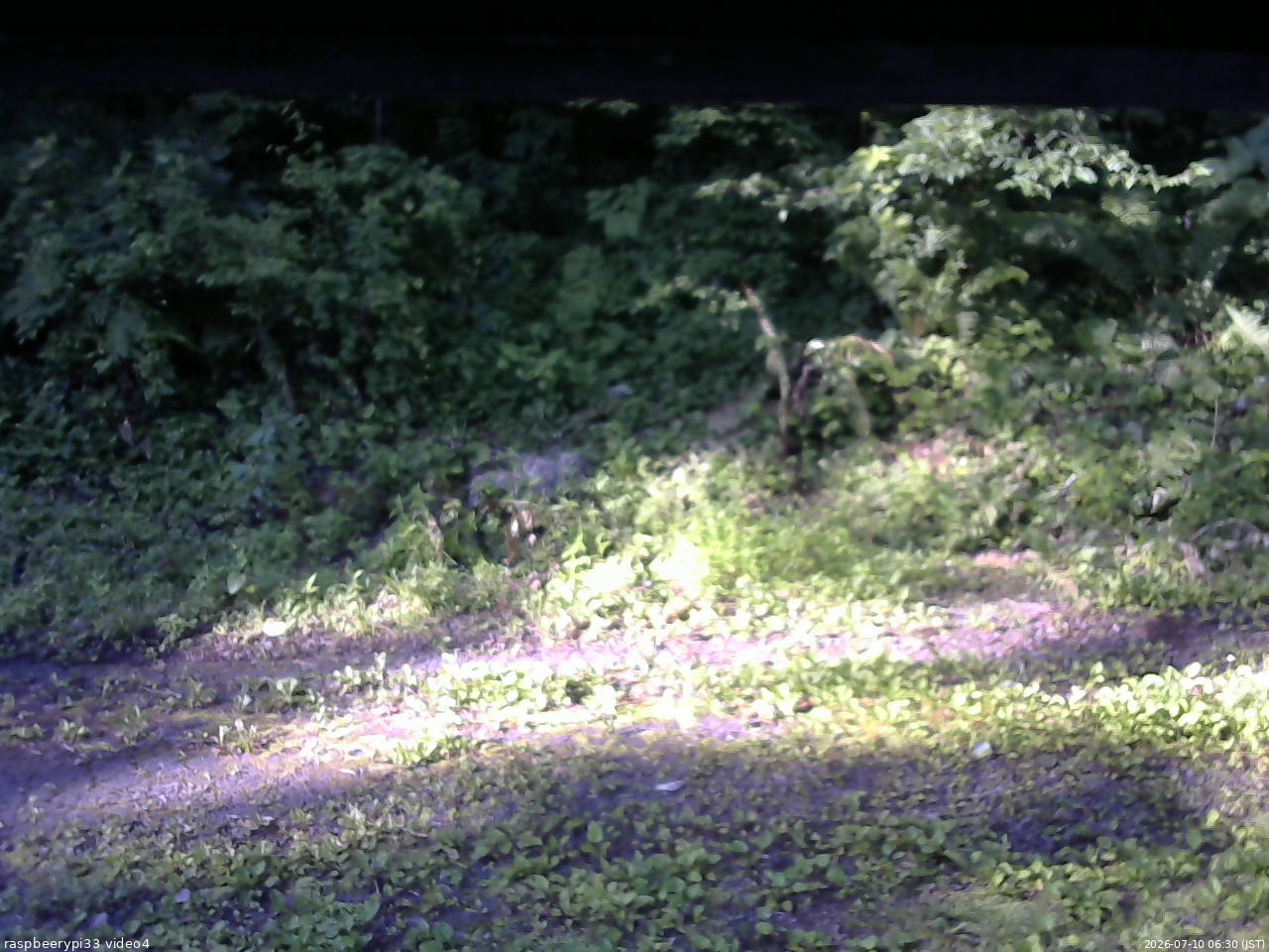 長野県菅平高原 ゆたか山荘 東側(坂下) 2026/07/10 06:30
