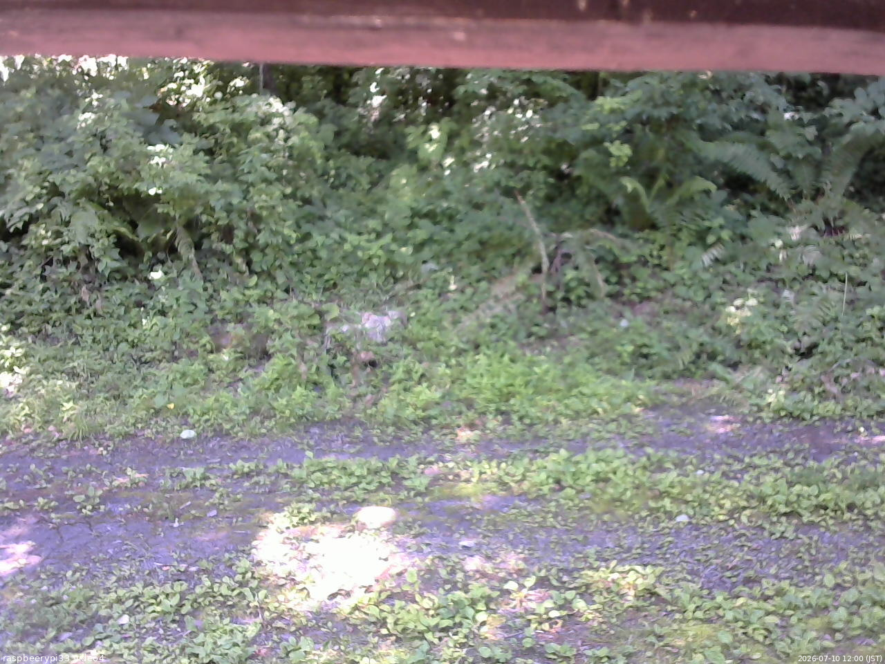 長野県菅平高原 ゆたか山荘 東側(坂下) 2026/07/10 12:00