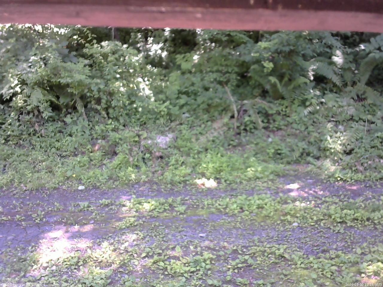 長野県菅平高原 ゆたか山荘 東側(坂下) 2026/07/10 12:15
