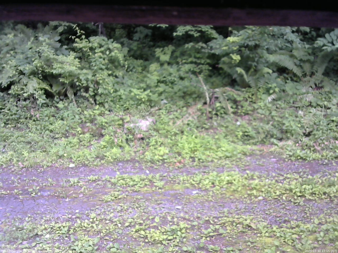 長野県菅平高原 ゆたか山荘 東側(坂下) 2026/07/10 17:15