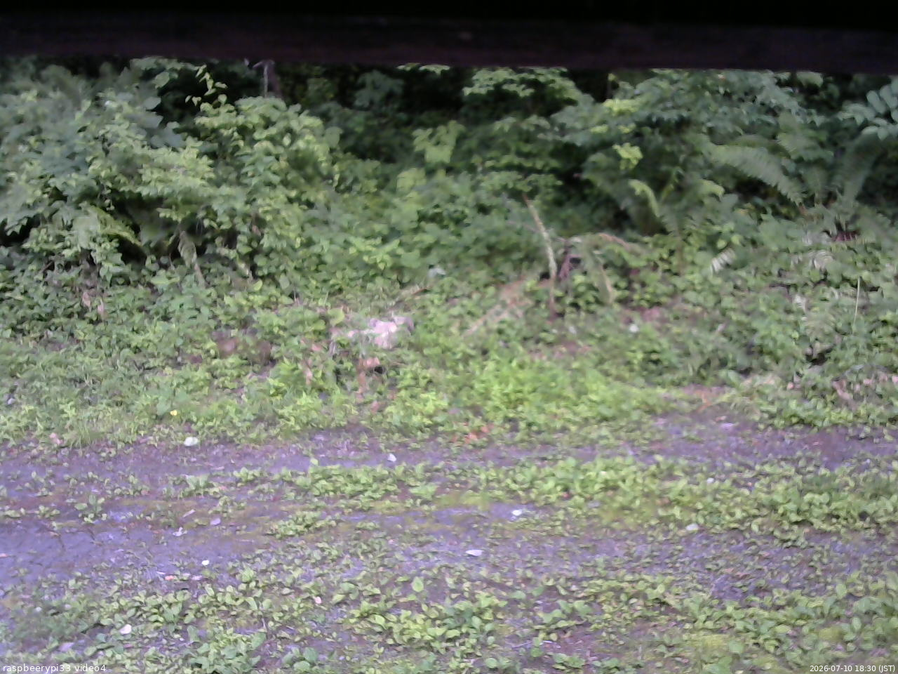 長野県菅平高原 ゆたか山荘 東側(坂下) 2026/07/10 18:30