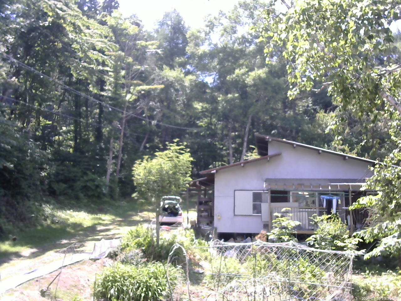 長野県菅平高原 ゆたか山荘 西側(坂上) 2026/07/10 13:30