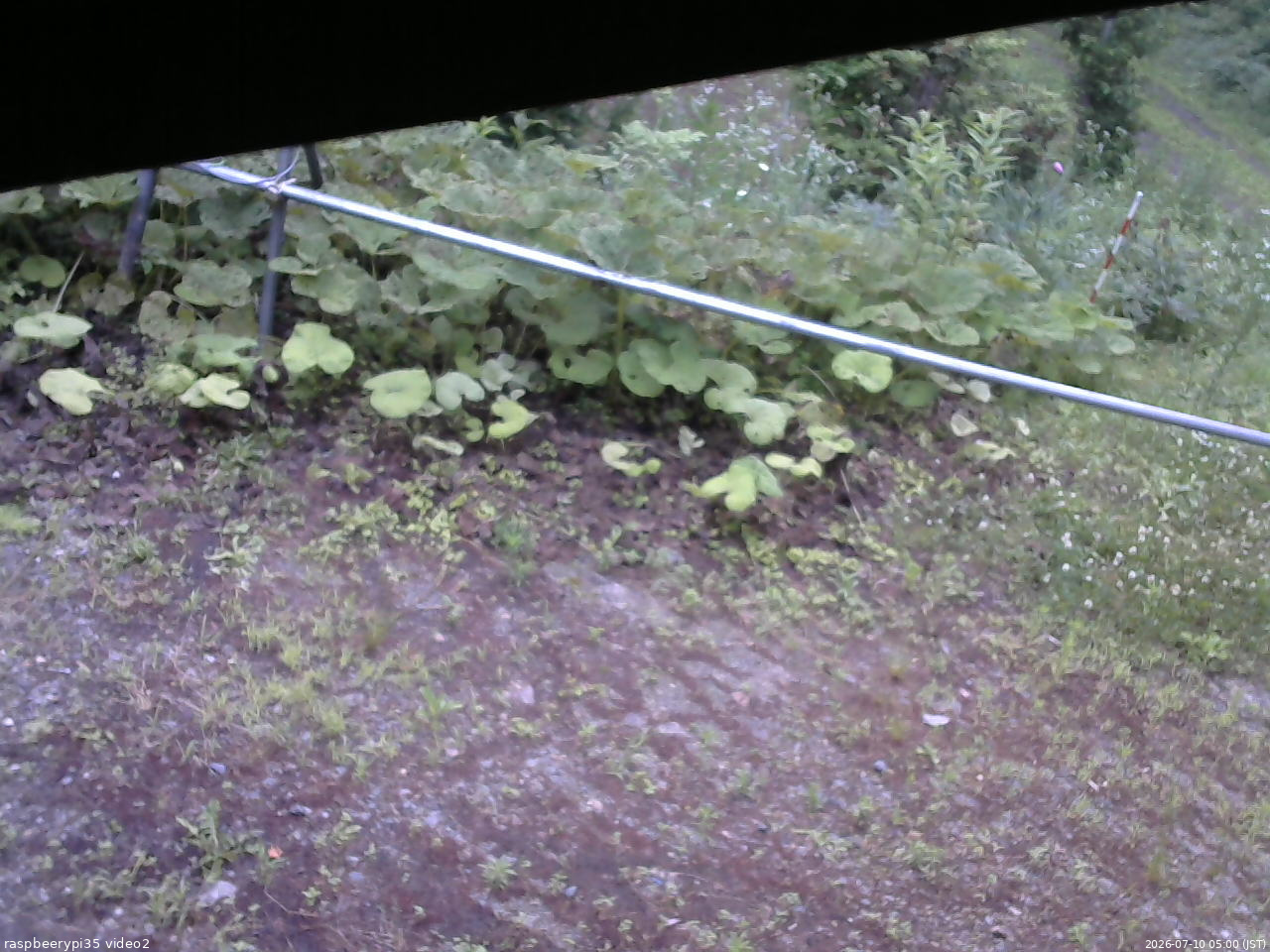 長野県菅平高原 ゆたか山荘 駐車場 2026/07/10 05:00