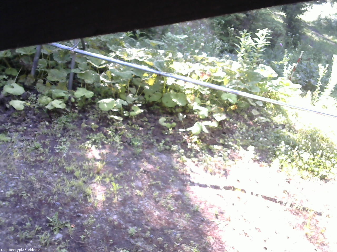 長野県菅平高原 ゆたか山荘 駐車場 2026/07/10 07:00