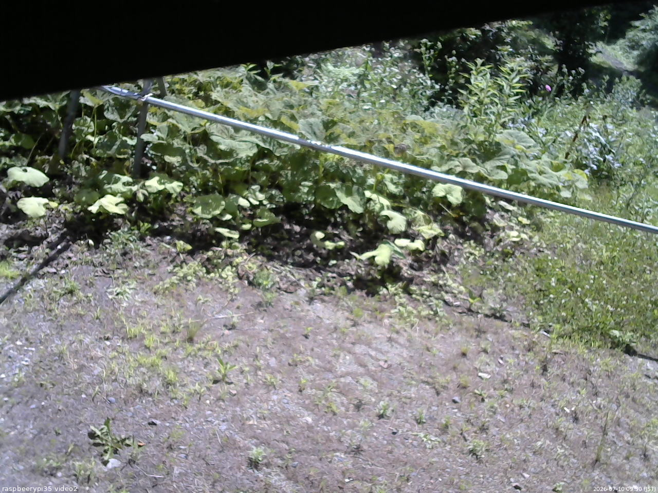 長野県菅平高原 ゆたか山荘 駐車場 2026/07/10 09:30