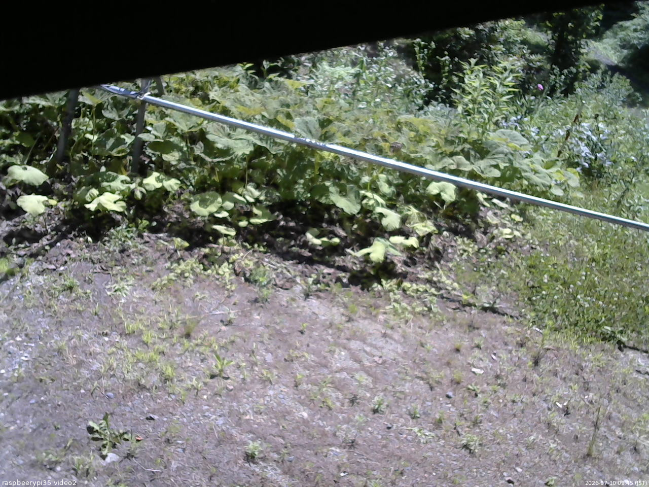 長野県菅平高原 ゆたか山荘 駐車場 2026/07/10 09:45
