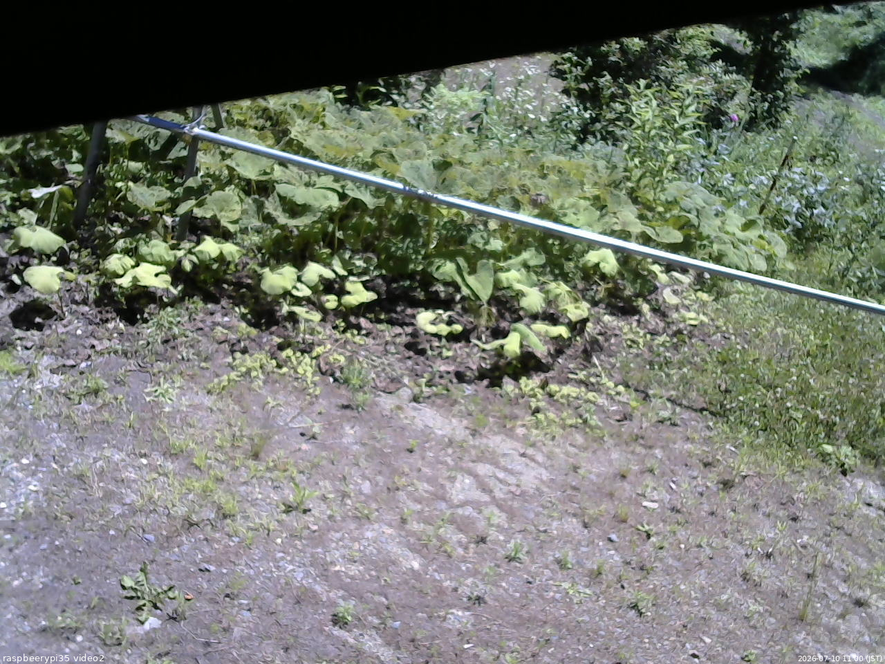 長野県菅平高原 ゆたか山荘 駐車場 2026/07/10 11:00