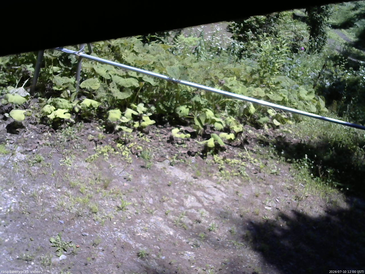 長野県菅平高原 ゆたか山荘 駐車場 2026/07/10 12:00