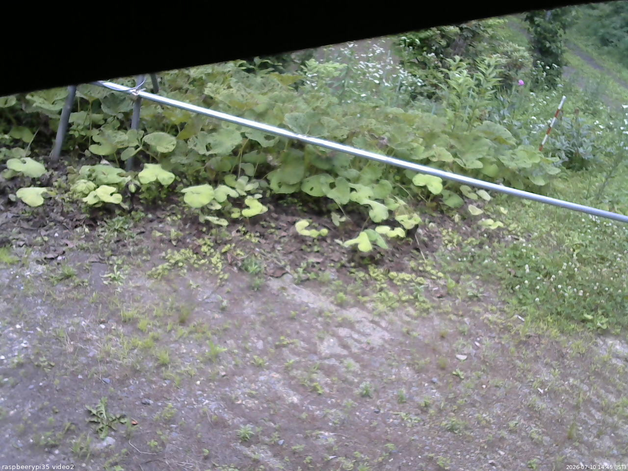 長野県菅平高原 ゆたか山荘 駐車場 2026/07/10 14:45