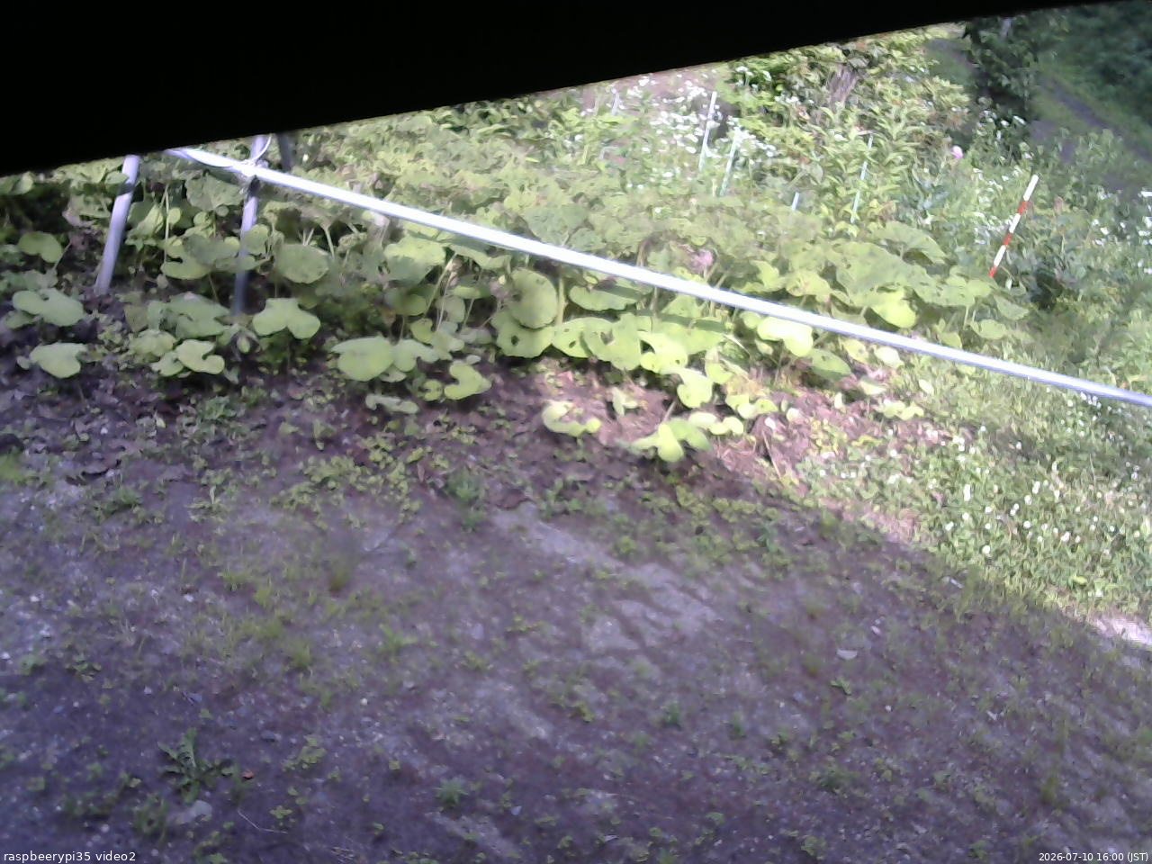 長野県菅平高原 ゆたか山荘 駐車場 2026/07/10 16:00
