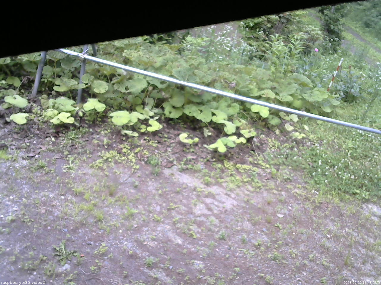 長野県菅平高原 ゆたか山荘 駐車場 2026/07/10 16:45