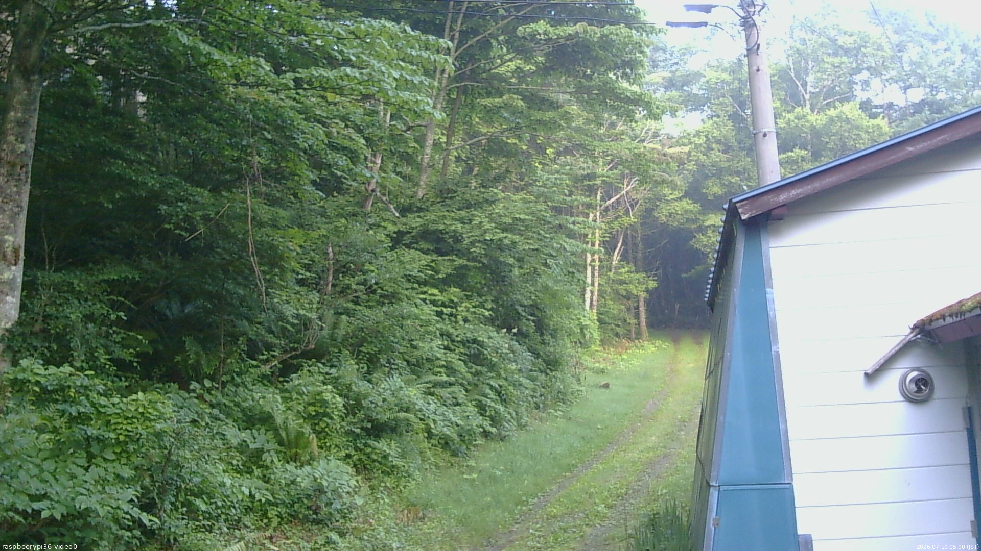 長野県菅平高原 ゆたか山荘 ゆたか山荘 2026/07/10 05:00