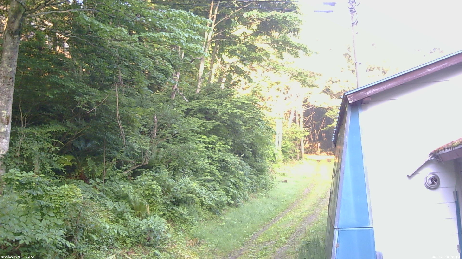 長野県菅平高原 ゆたか山荘 ゆたか山荘 2026/07/10 05:30