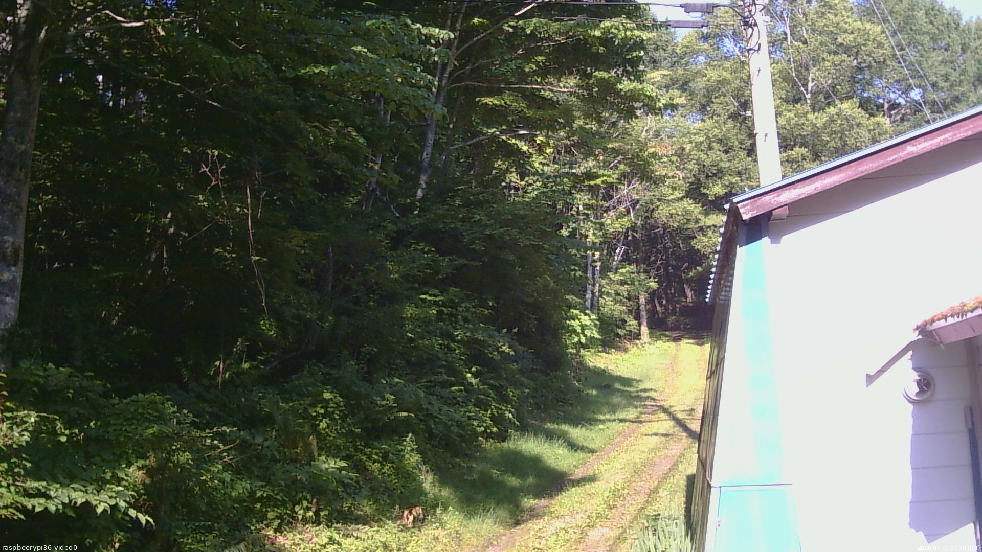 長野県菅平高原 ゆたか山荘 ゆたか山荘 2026/07/10 07:30