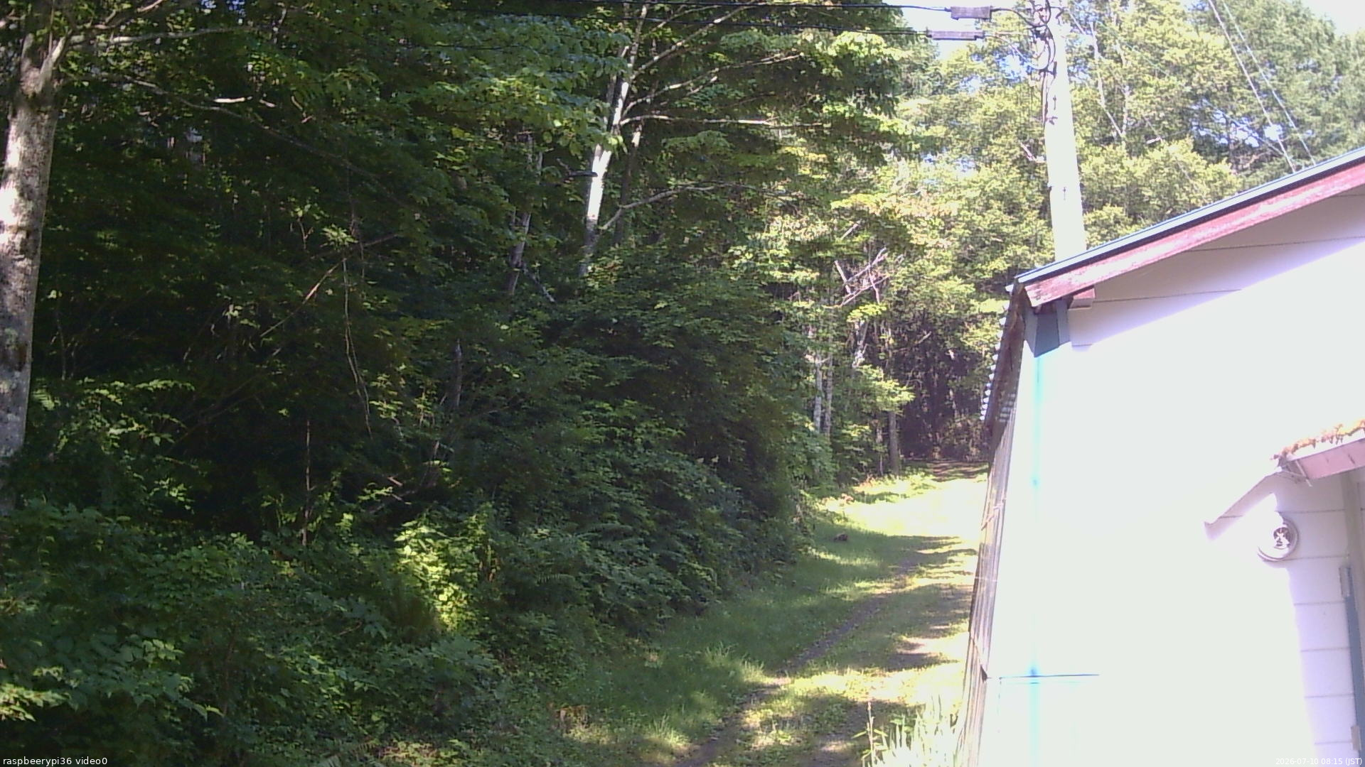 長野県菅平高原 ゆたか山荘 ゆたか山荘 2026/07/10 08:15