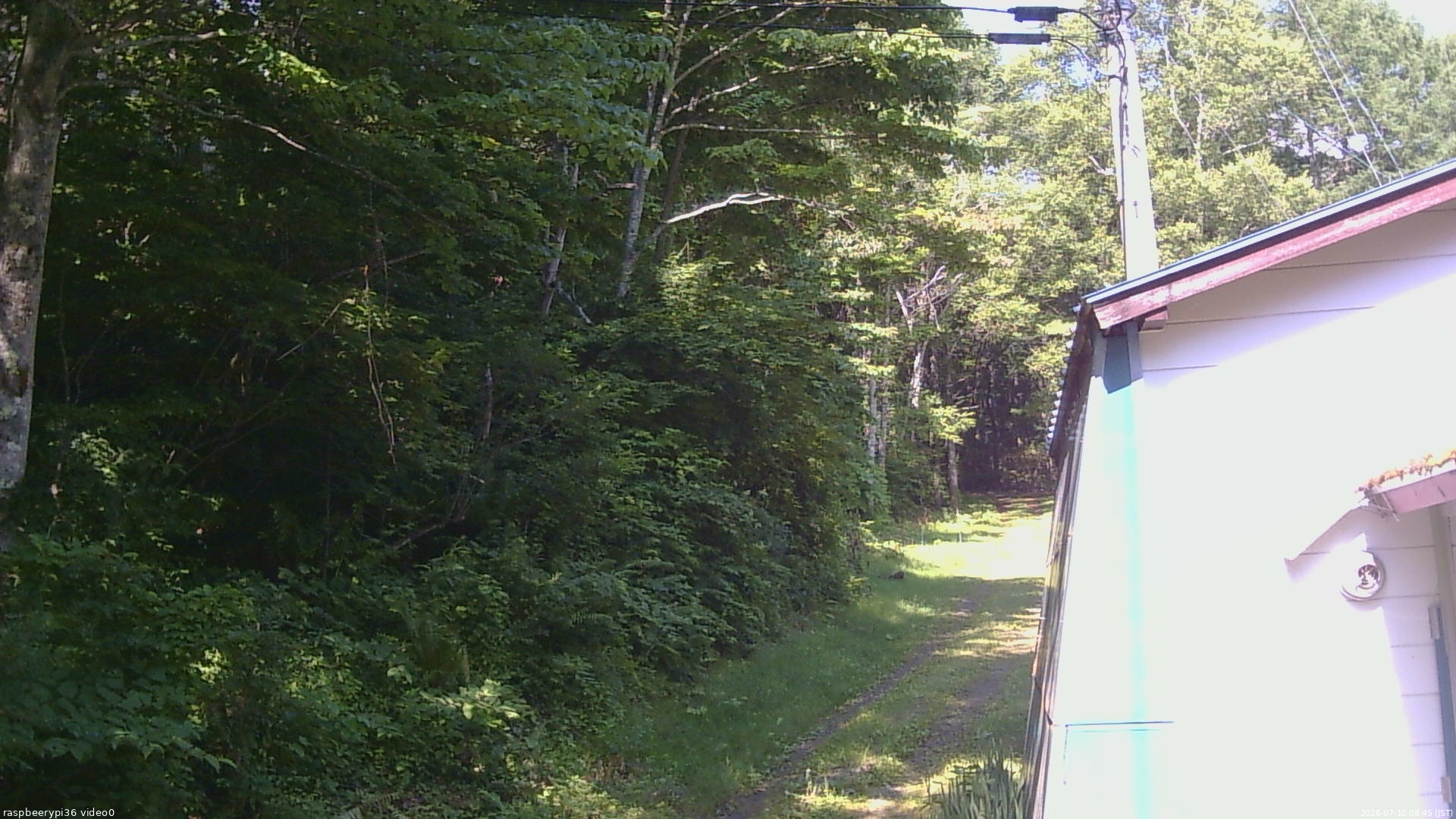 長野県菅平高原 ゆたか山荘 ゆたか山荘 2026/07/10 08:45