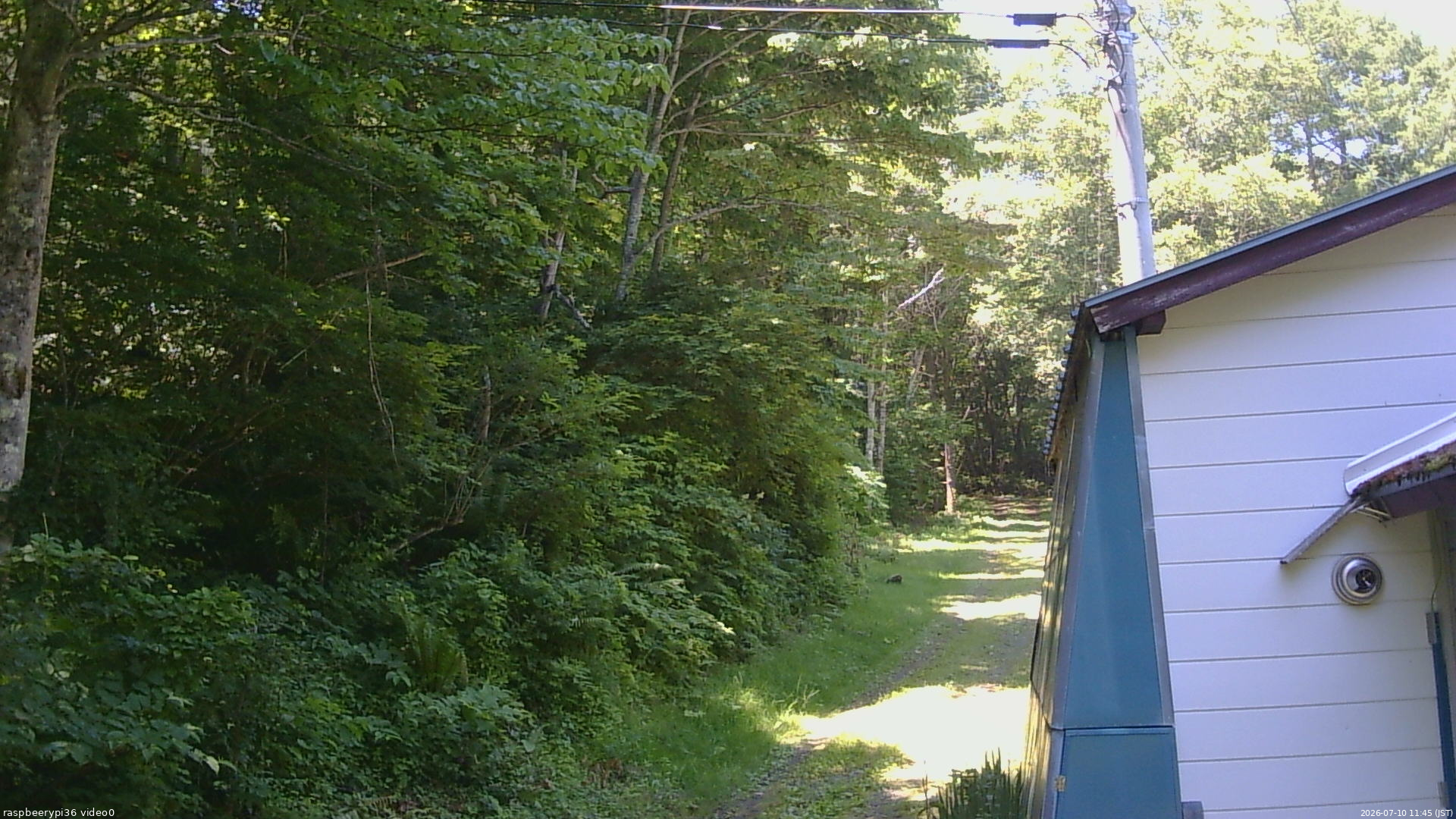 長野県菅平高原 ゆたか山荘 ゆたか山荘 2026/07/10 11:45