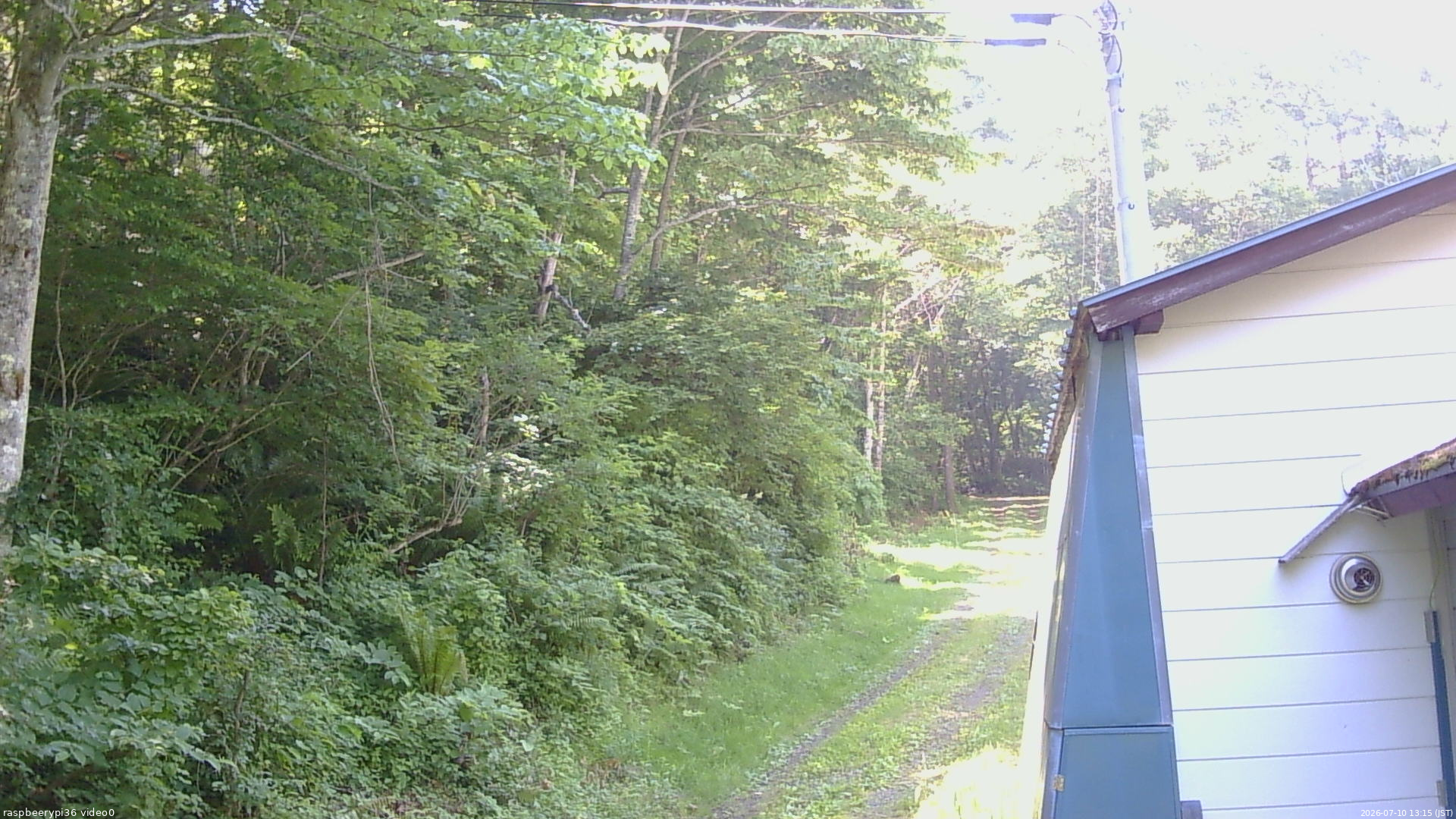 長野県菅平高原 ゆたか山荘 ゆたか山荘 2026/07/10 13:15